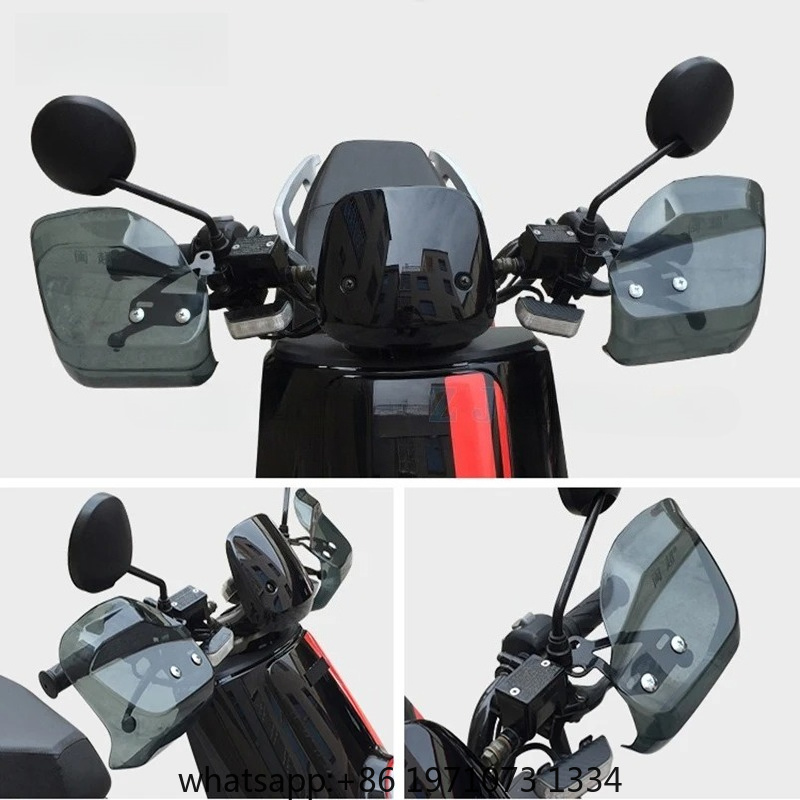 Paramani per Moto, Scooter ed  - Motorcycle Gear recensione e prezzo